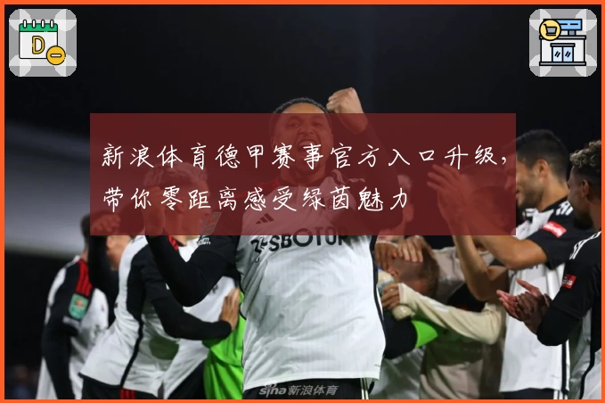 新浪体育德甲赛事官方入口升级，带你零距离感受绿茵魅力