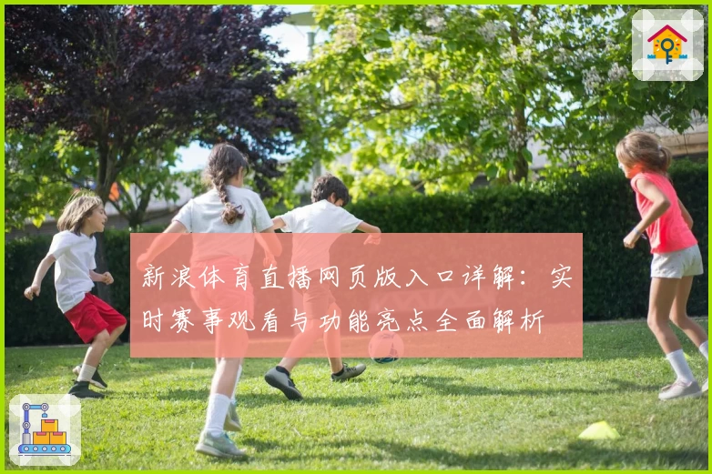 新浪体育直播网页版入口详解：实时赛事观看与功能亮点全面解析