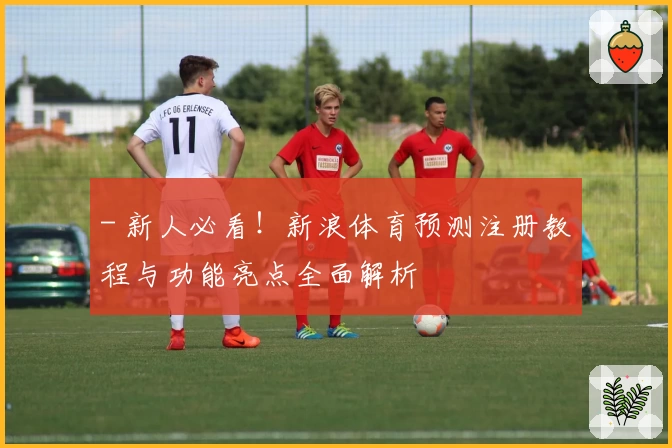 - 新人必看！新浪体育预测注册教程与功能亮点全面解析