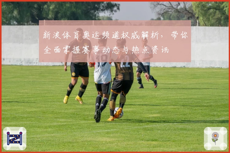 新浪体育奥运频道权威解析，带你全面掌握赛事动态与热点资讯