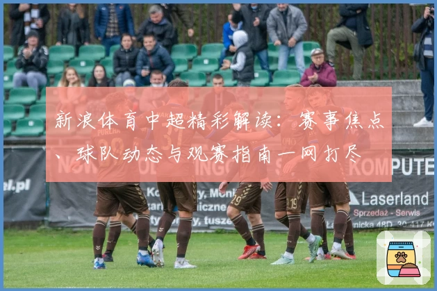 新浪体育中超精彩解读：赛事焦点、球队动态与观赛指南一网打尽