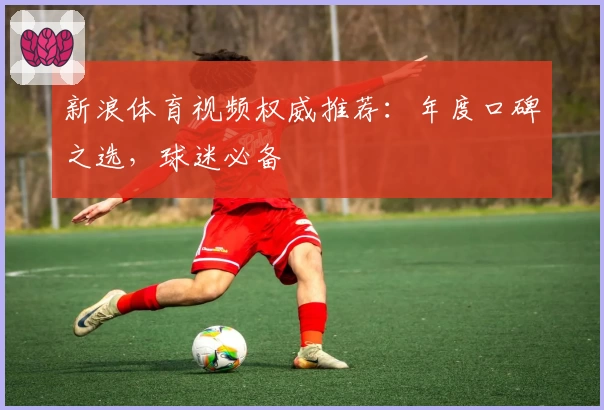 新浪体育视频权威推荐：年度口碑之选，球迷必备