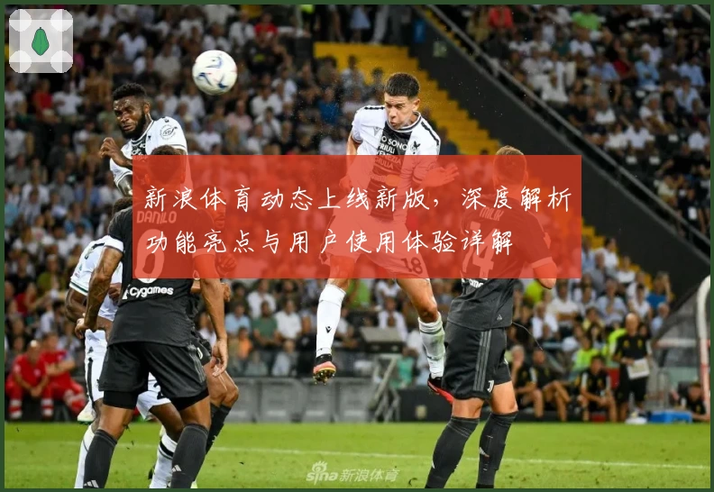 新浪体育动态上线新版，深度解析功能亮点与用户使用体验详解
