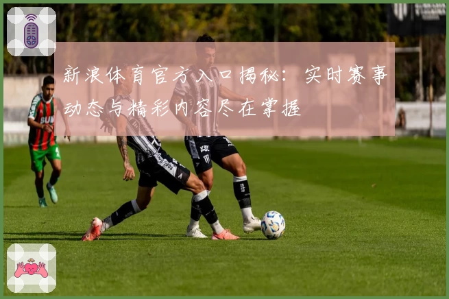 新浪体育官方入口揭秘：实时赛事动态与精彩内容尽在掌握
