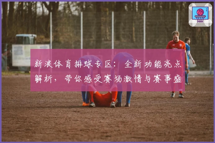 新浪体育排球专区：全新功能亮点解析，带你感受赛场激情与赛事盛宴