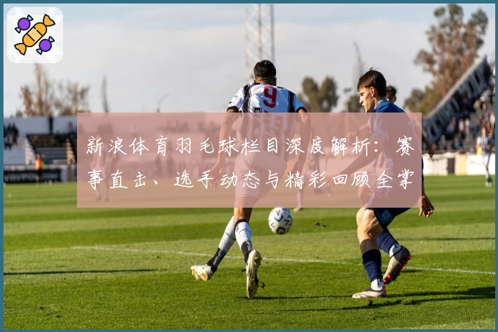 新浪体育羽毛球栏目深度解析：赛事直击、选手动态与精彩回顾全掌握
