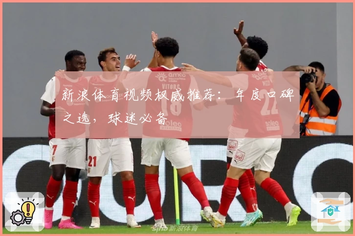 新浪体育视频权威推荐：年度口碑之选，球迷必备