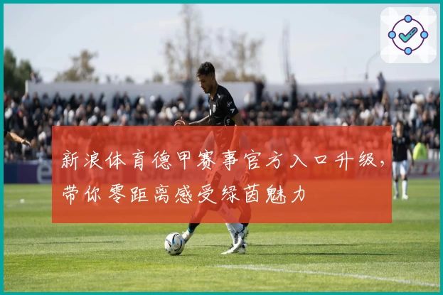 新浪体育德甲赛事官方入口升级，带你零距离感受绿茵魅力