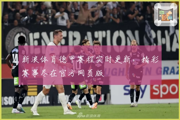 新浪体育德甲赛程实时更新，精彩赛事尽在官方网页版